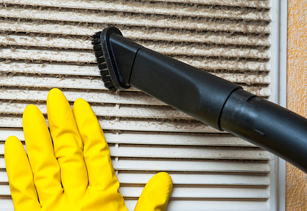 Best HVAC Duct Inspection Services  in Leonard, TX